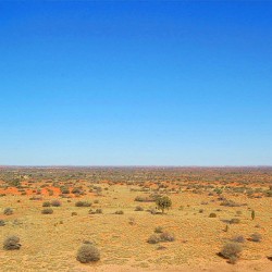 desert